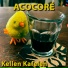 ACOCORÉ