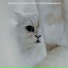 Музыка для кошек Список воспроизведения
