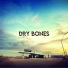 DryBones