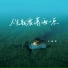 卡迪哥