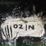 Ozin feat. xSTRONGFVSTVx