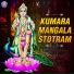 Mangesh Borgaonkar