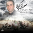 Şəhruz Həbibi