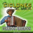 Los Ciclones del Arroyo