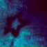 Vi Res