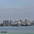 花果