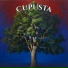 CupUsta