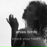 anies birds