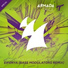 Armin van Buuren & Andrew Rayel