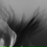 METAHESH