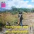 Los Caminantes