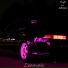 Leempic