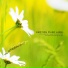 Melody Tree