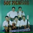 Picaflor de marañón