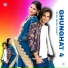Irfan Pahat feat. Aslam Singer Mewati