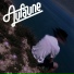 AUFAUNE