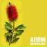 AIIOM