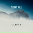 Cleft 3