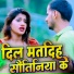 Viranjan Baitha