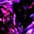 Saintt, 50 Flow, etherialraze