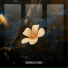 Passenger 10, MaMan