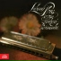 Lubomir Pleva & Ostrava Radio Orchestra