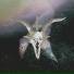 ΔGNØST C SM