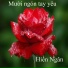 Hiền Ngân