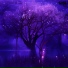 yourdream