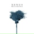 Xenus