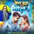 Vinay Akela, Neha Raj