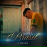 LT Promise