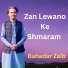 Bahadar Zaib