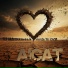 AiCat