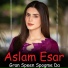 Aslam Esar