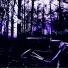 COLDFYR17