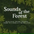 Sounds Of The Forest