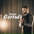 Sajfer