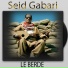 Seid Gabari