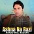 Ahmad Wali Roshan