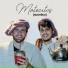 El Viajero Matero feat. joaco bustillo