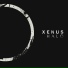 Xenus