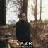 Alireza Salehi