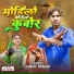 Vinod Damor