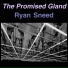 Ryan Sneed