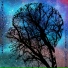 Home Brewed Universe