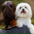 Boy With Pets