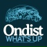 Ondist feat. Cassie Gibbs, Tom Burton