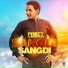 Preet Lambardar