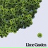 Lime Garden